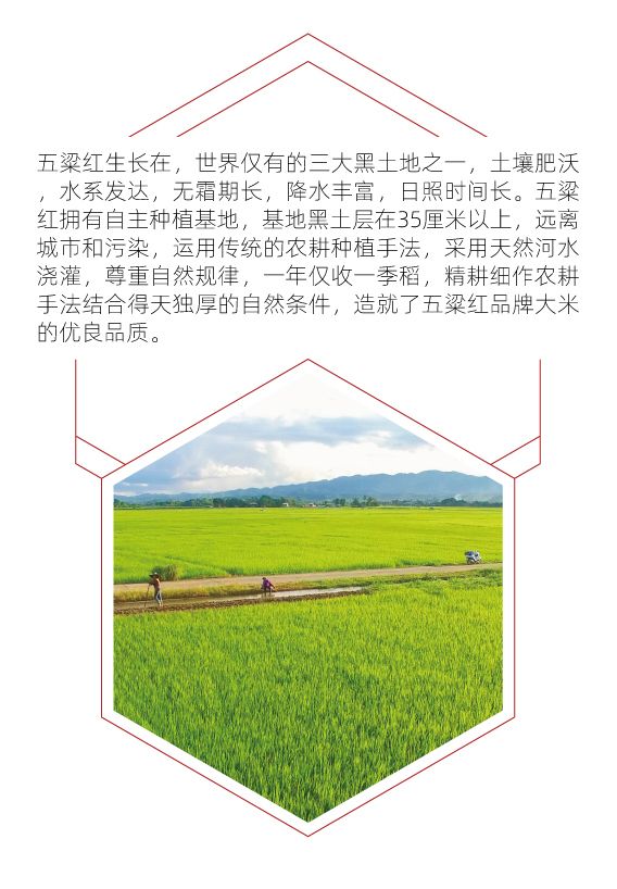 微信圖文_畫板-1_02