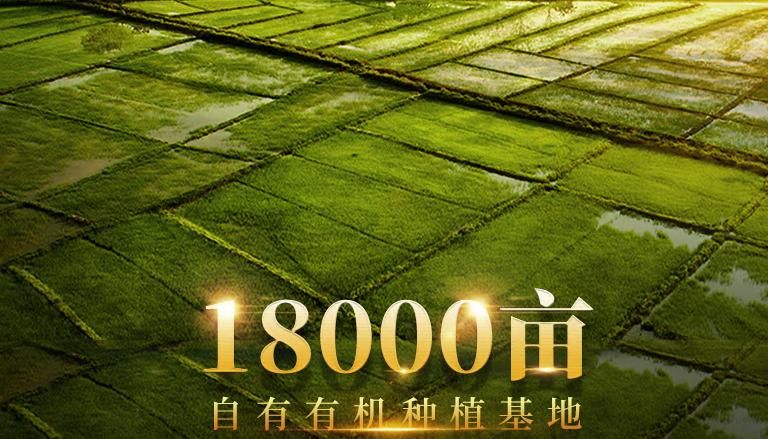 圖片3 圖片3